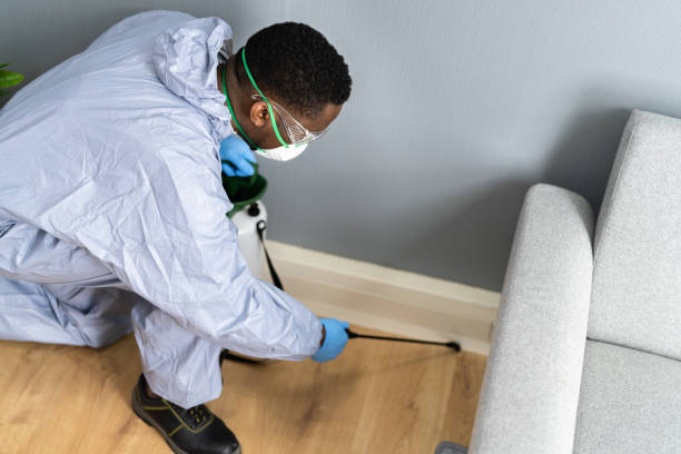 Best Real Estate Pest Inspections  in Mariposa, CA